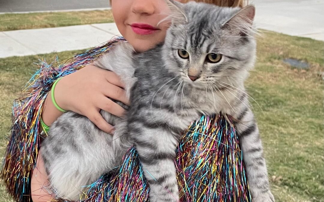 Siberian Cuties